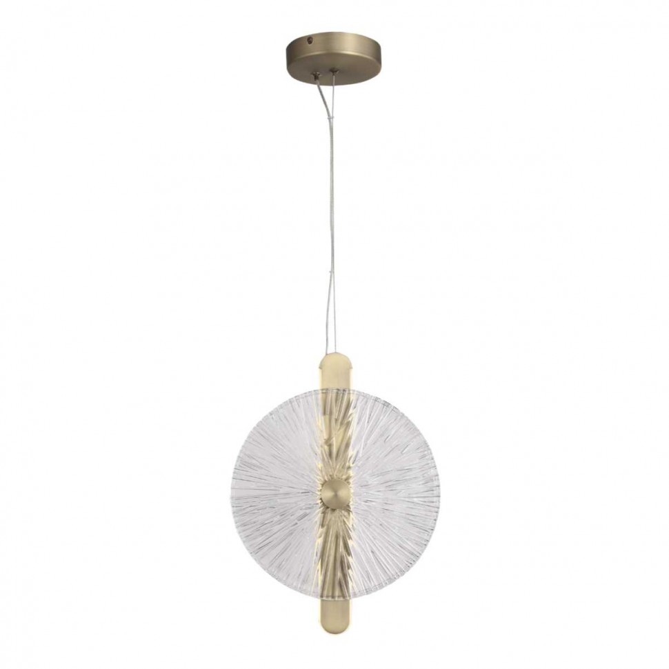 Подвесной светильник ST Luce SL6141.303.01 фото 1 &mdash; svetrussia.ru