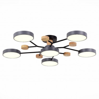 Потолочная светодиодная люстра Evoluce FAEMA SLE6006-702-06 &mdash; svetrussia.ru