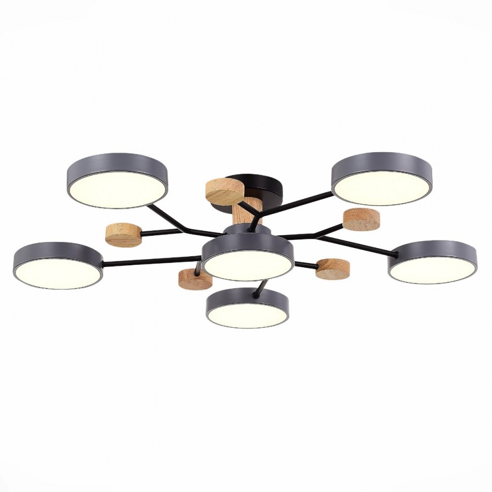 Потолочная светодиодная люстра Evoluce FAEMA SLE6006-702-06 фото 1 &mdash; svetrussia.ru