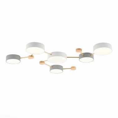 Потолочный светильник Evoluce DOSSENA SLE600102-06 &mdash; svetrussia.ru