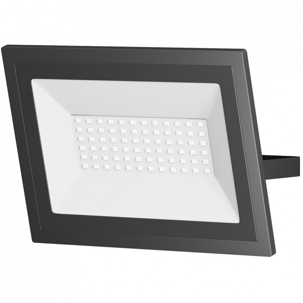 Прожектор светодиодный Maytoni Flood 50W 6500K FL001-L50B6K фото 1 &mdash; svetrussia.ru