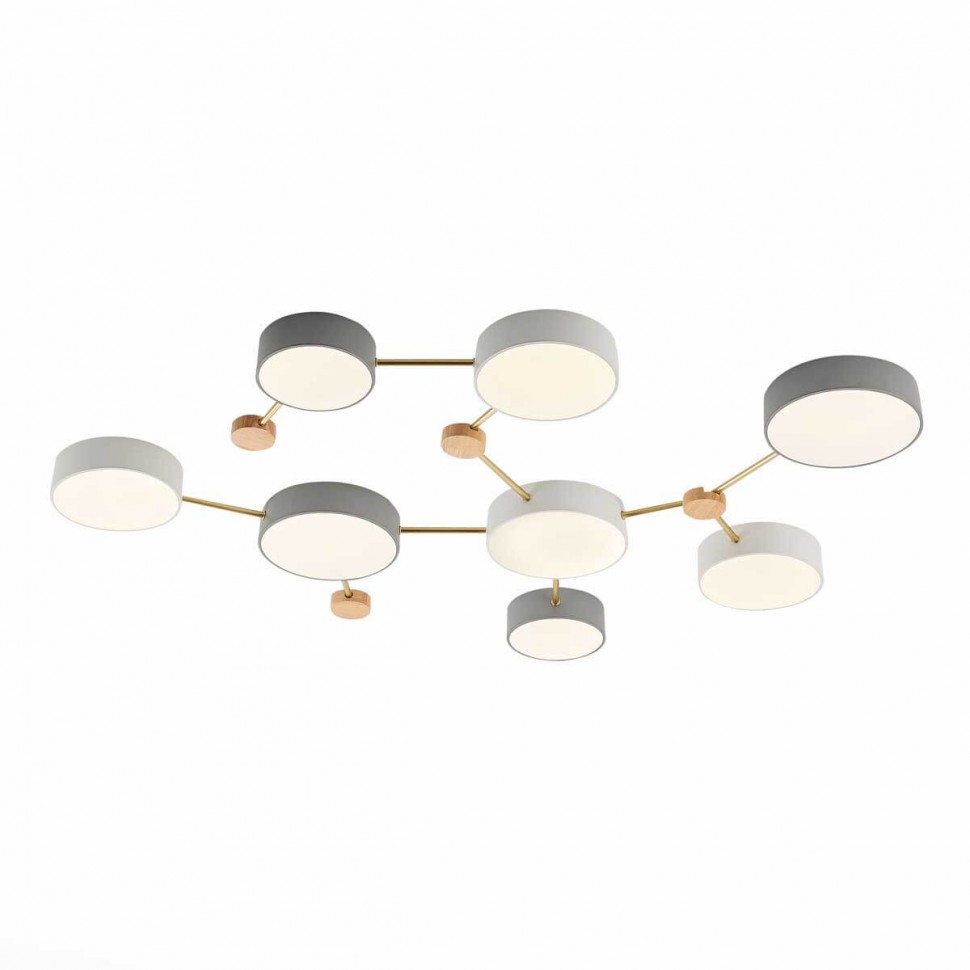 Потолочный светильник Evoluce DOSSENA SLE600102-08 фото 1 &mdash; svetrussia.ru