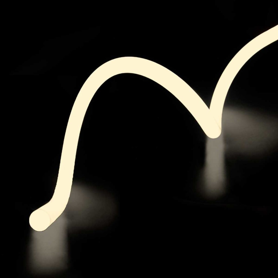 Гибкий неон ST Luce 14,4W/m теплый белый 5M ST981.315.65 фото 1 &mdash; svetrussia.ru