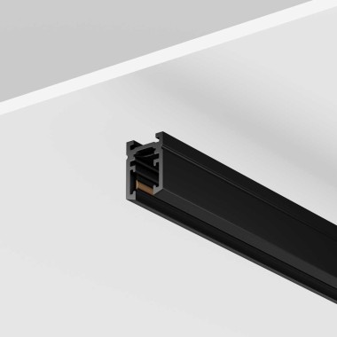 Шинопровод накладной/подвесной Maytoni Technical Busbar trunkings Levity TRX184-111B &mdash; svetrussia.ru