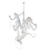 Подвесная люстра Loft IT Monkey 10314 White фото 1 &mdash; svetrussia.ru