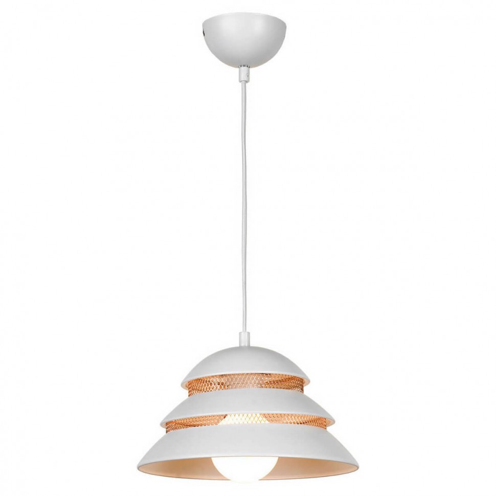 Подвесной светильник Lussole Loft Beijing LSP-8130 фото 1 &mdash; svetrussia.ru