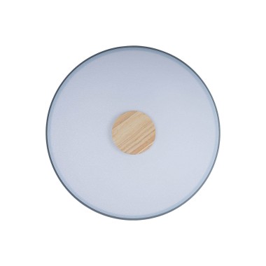 Потолочный светодиодный светильник Loft IT Axel 10003/24 grey &mdash; svetrussia.ru