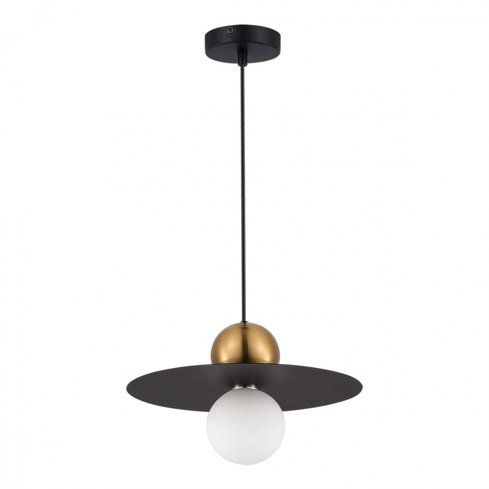 Подвесной светильник Evoluce SLE1257-433-01 фото 1 &mdash; svetrussia.ru