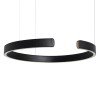 Подвесной светодиодный светильник Loft IT Ring 10025/600 Black фото 3 &mdash; svetrussia.ru