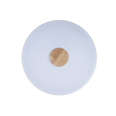 Потолочный светодиодный светильник Loft IT Axel 10003/24 white &mdash; svetrussia.ru