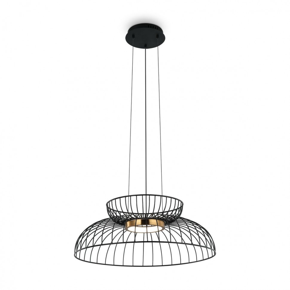 Подвесной светодиодный светильник Freya Citrus FR5398PL-L6B фото 1 &mdash; svetrussia.ru