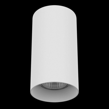 Потолочный светильник Lightstar Rullo 216486 &mdash; svetrussia.ru