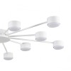 Люстра Lumion COMFI 8343/12C фото 6 &mdash; svetrussia.ru