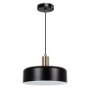Подвесной светильник Arte Lamp Skat A7052SP-1BK фото 1 &mdash; svetrussia.ru