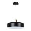 Подвесной светильник Arte Lamp Skat A7152SP-1BK фото 1 &mdash; svetrussia.ru