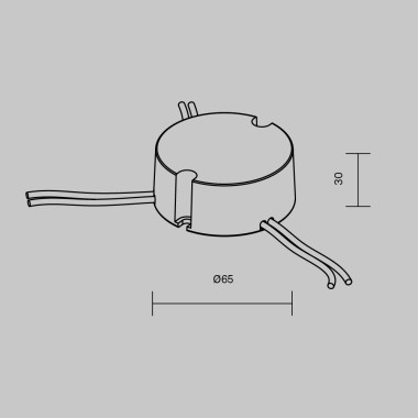 Источник тока Maytoni Lighting control 721031 &mdash; svetrussia.ru