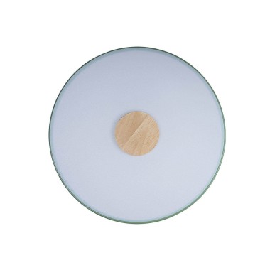 Потолочный светодиодный светильник Loft IT Axel 10003/24 green &mdash; svetrussia.ru