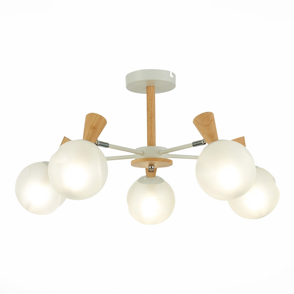 Потолочная люстра Evoluce Catania SLE220702-05 фото 1 &mdash; svetrussia.ru