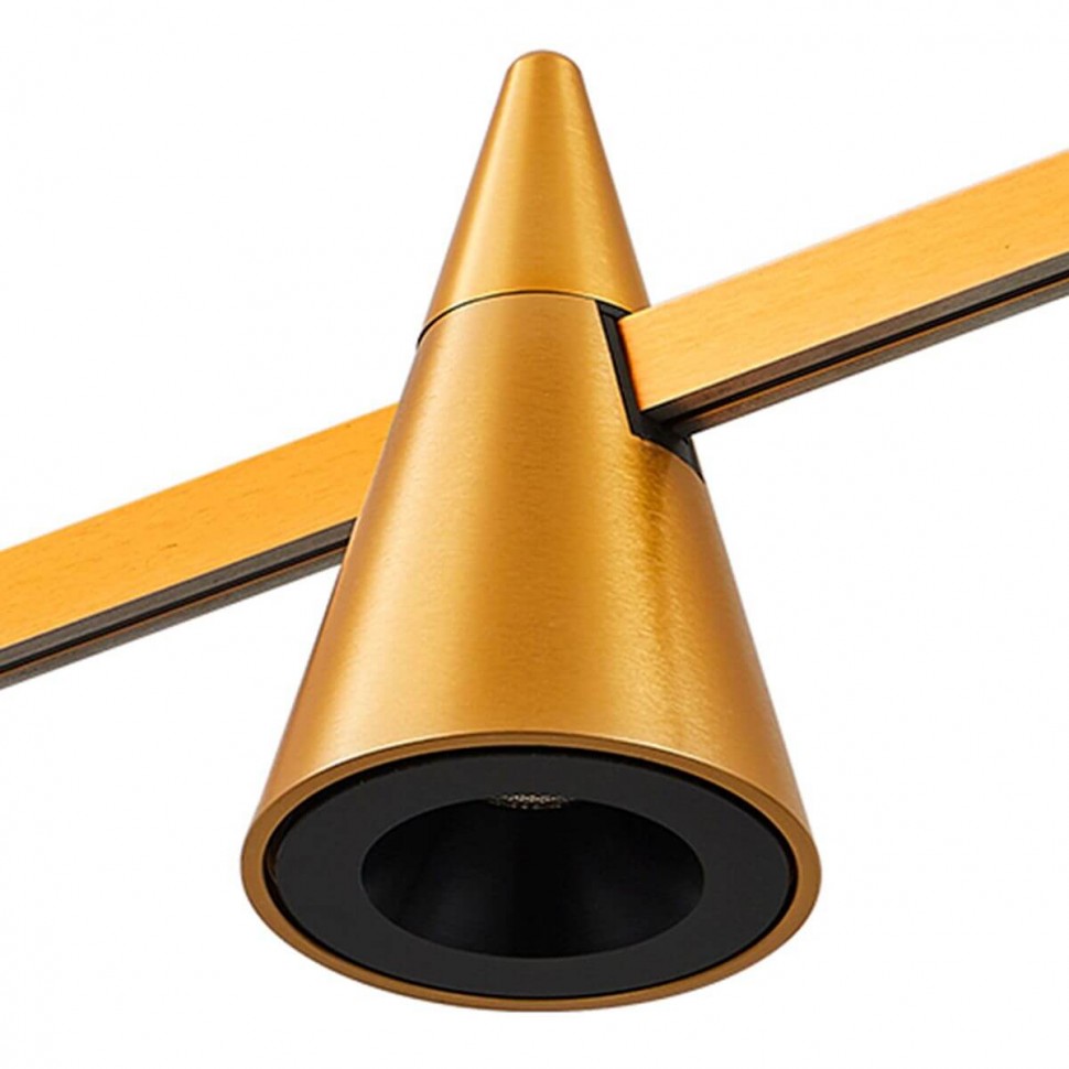 Трековый светодиодный светильник ST Luce Farm ST813.206.05 фото 1 &mdash; svetrussia.ru