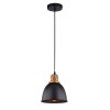 Подвесной светильник Arte Lamp Eurica A4245SP-1BK фото 1 &mdash; svetrussia.ru