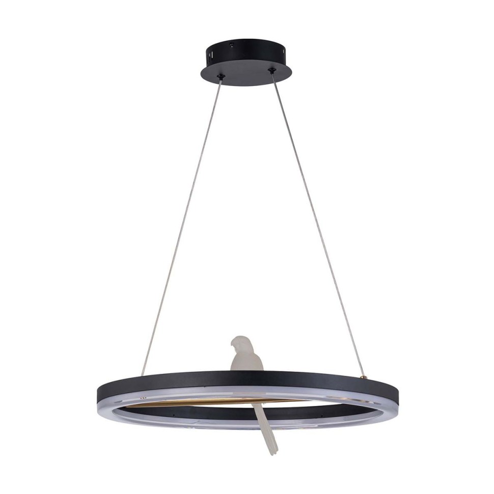 Подвесной светодиодный светильник F-Promo Bardy 4654-1P фото 1 &mdash; svetrussia.ru