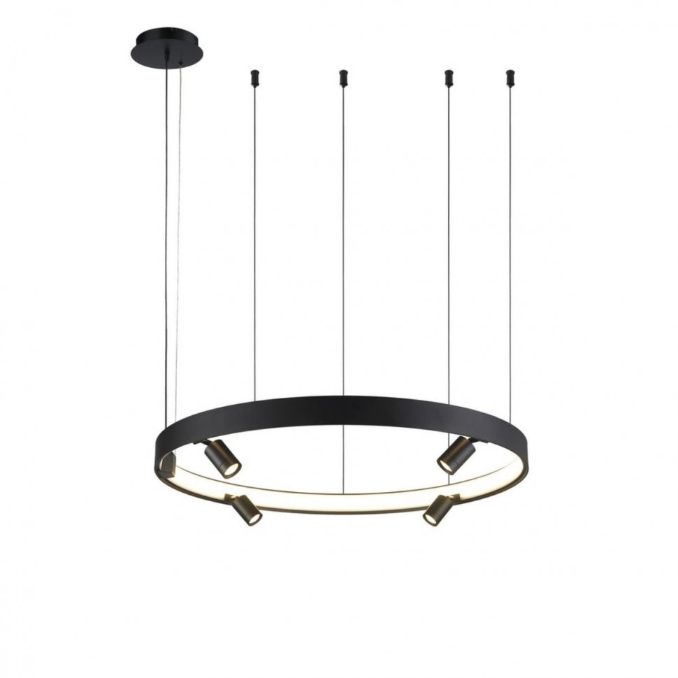 Подвесной светодиодный светильник Aployt Jolanta APL.041.13.50 фото 1 &mdash; svetrussia.ru