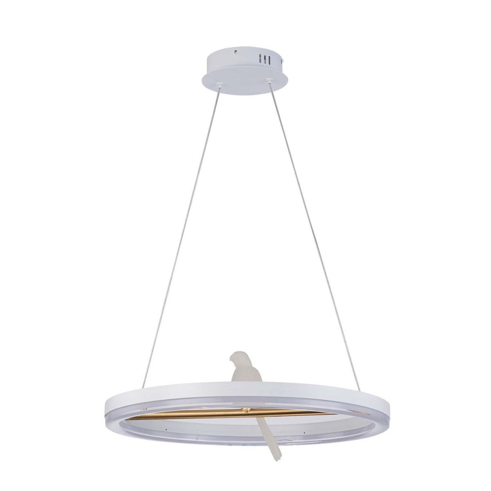 Подвесной светодиодный светильник F-Promo Bardy 4653-1P фото 1 &mdash; svetrussia.ru