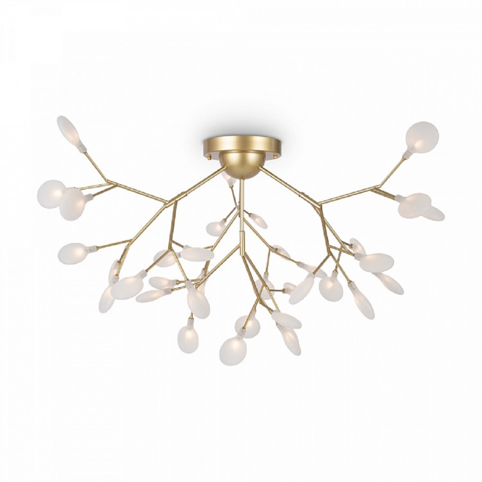 Потолочная люстра Freya Florencia FR5049CL-36G фото 1 &mdash; svetrussia.ru