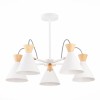 Потолочная люстра Evoluce Modica SLE125102-05 фото 3 &mdash; svetrussia.ru
