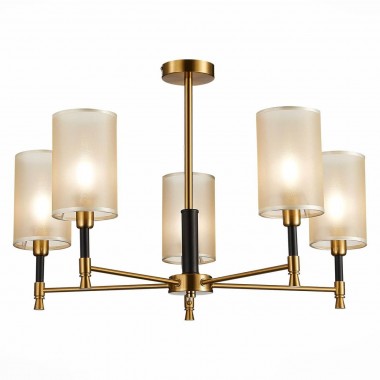 Потолочная люстра Evoluce Granze SLE300302-05 &mdash; svetrussia.ru