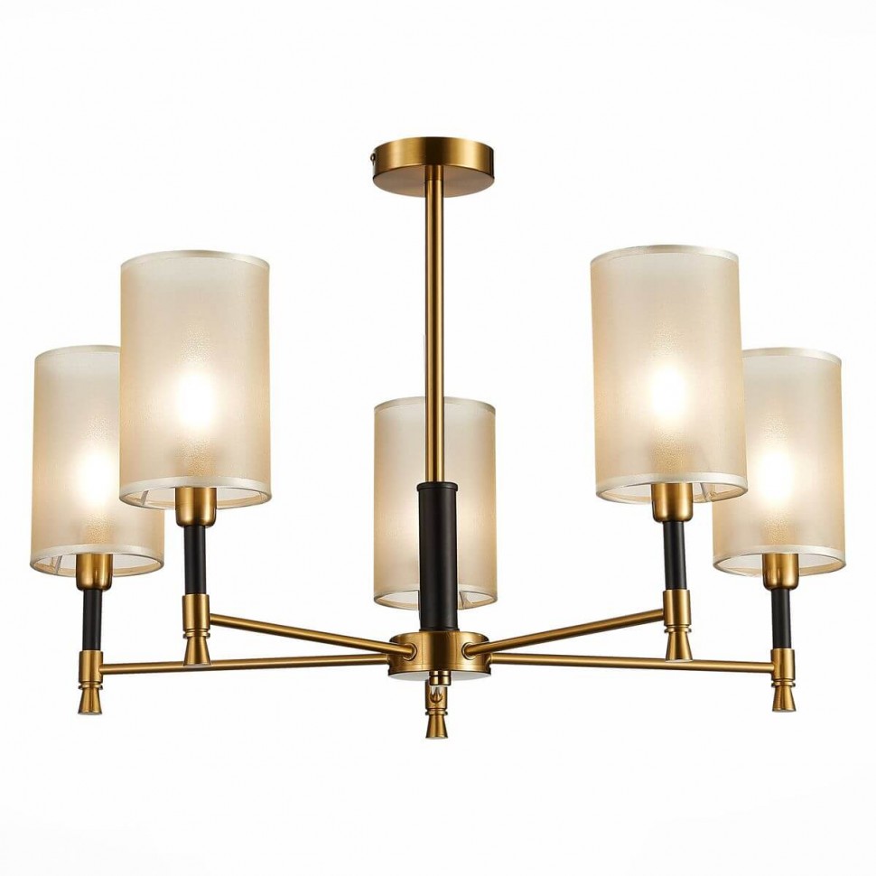 Потолочная люстра Evoluce Granze SLE300302-05 фото 1 &mdash; svetrussia.ru