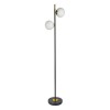 Торшер Arte Lamp Alcor A2224PN-2BK фото 1 &mdash; svetrussia.ru
