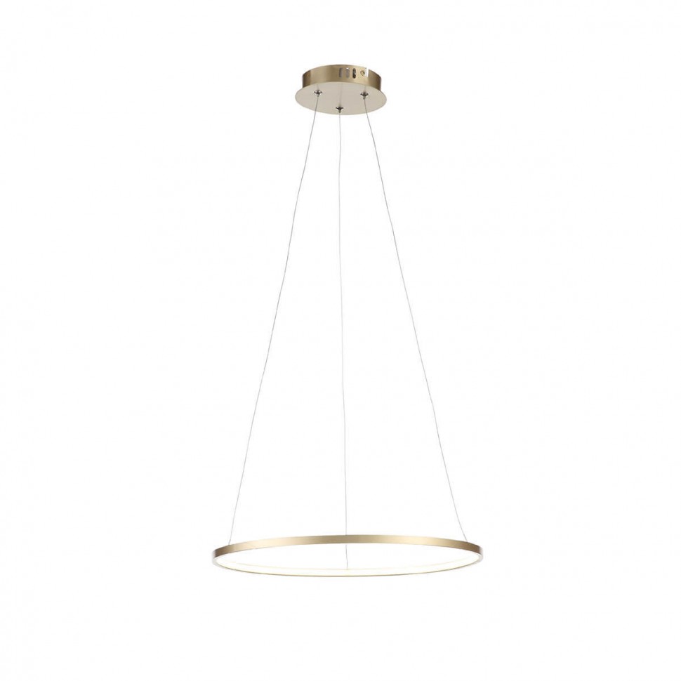 Подвесной светодиодный светильник ST Luce Erto SL904.203.01 фото 1 &mdash; svetrussia.ru