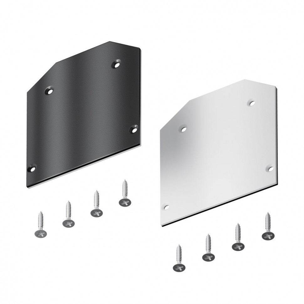 Заглушка Maytoni Technical Exility (2 шт) TRA034MPEC-1 фото 1 &mdash; svetrussia.ru