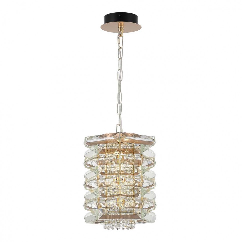 Подвесной светильник ST Luce SL6137.203.01 фото 1 &mdash; svetrussia.ru