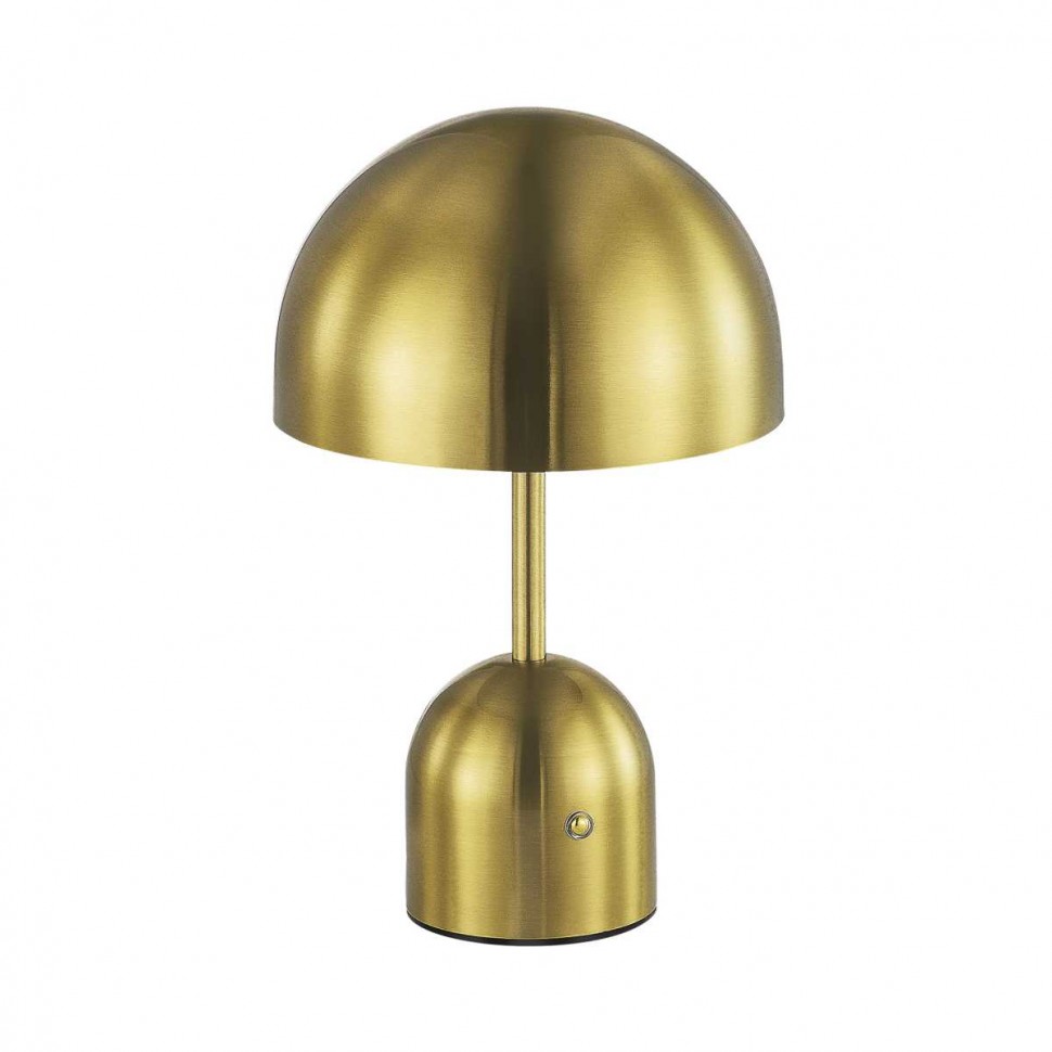 Настольная лампа Evoluce SLE1806-204-01 фото 1 &mdash; svetrussia.ru