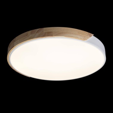 Потолочный светодиодный светильник Loft IT Axel 10004/36 white &mdash; svetrussia.ru