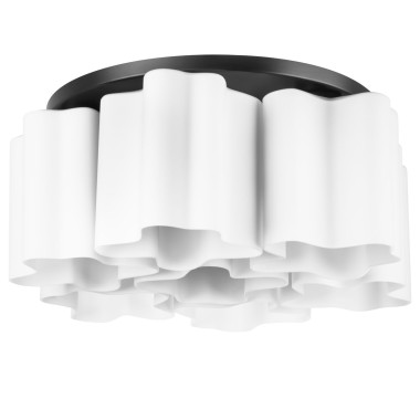 Потолочная люстра Lightstar Nubi 802077 &mdash; svetrussia.ru