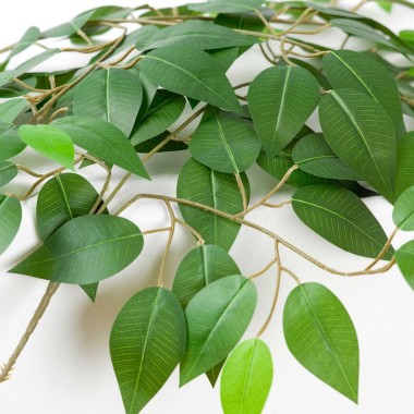 Настольная лампа Lussole IDAHO LSP-0682 &mdash; svetrussia.ru