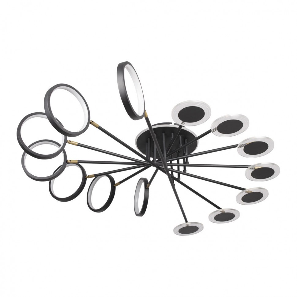 Потолочная светодиодная люстра Loft IT Megan 10164L Black фото 1 &mdash; svetrussia.ru