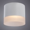 Потолочный светильник Arte Lamp Castor A5554PL-1WH фото 3 &mdash; svetrussia.ru