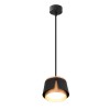 Подвесной светильник Arte Lamp Amaks A8028SP-1BK фото 1 &mdash; svetrussia.ru