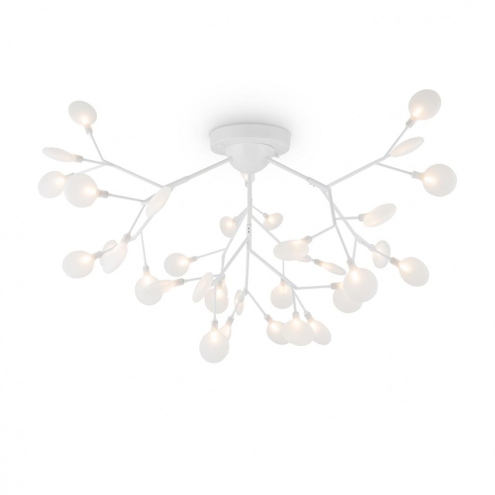 Потолочная люстра Freya Florencia FR5049CL-36W1 фото 1 &mdash; svetrussia.ru