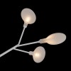Потолочная люстра Freya Florencia FR5049CL-36W1 фото 7 &mdash; svetrussia.ru
