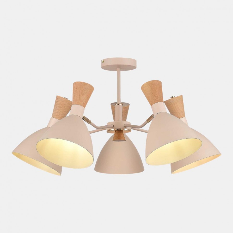 Потолочная люстра Evoluce Vista SLE1256-502-05 фото 1 &mdash; svetrussia.ru