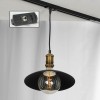 Трековый светильник однофазный Lussole LOFT Track Lights LSP-9670-TAB фото 1 &mdash; svetrussia.ru