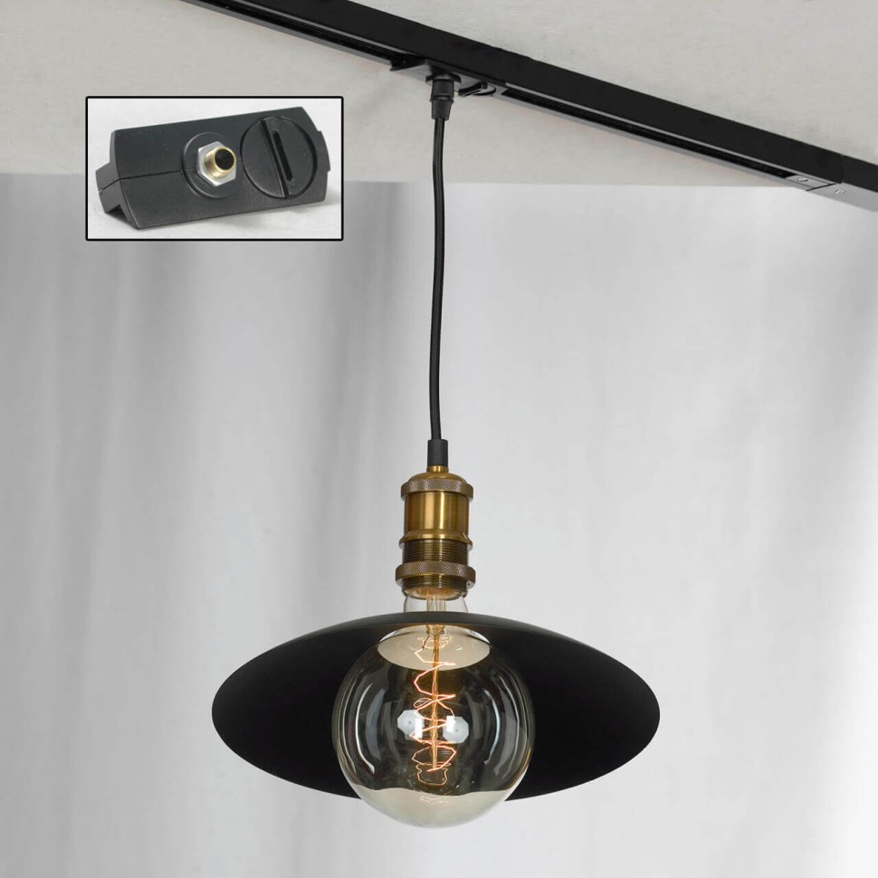 Трековый светильник однофазный Lussole LOFT Track Lights LSP-9670-TAB фото 1 &mdash; svetrussia.ru