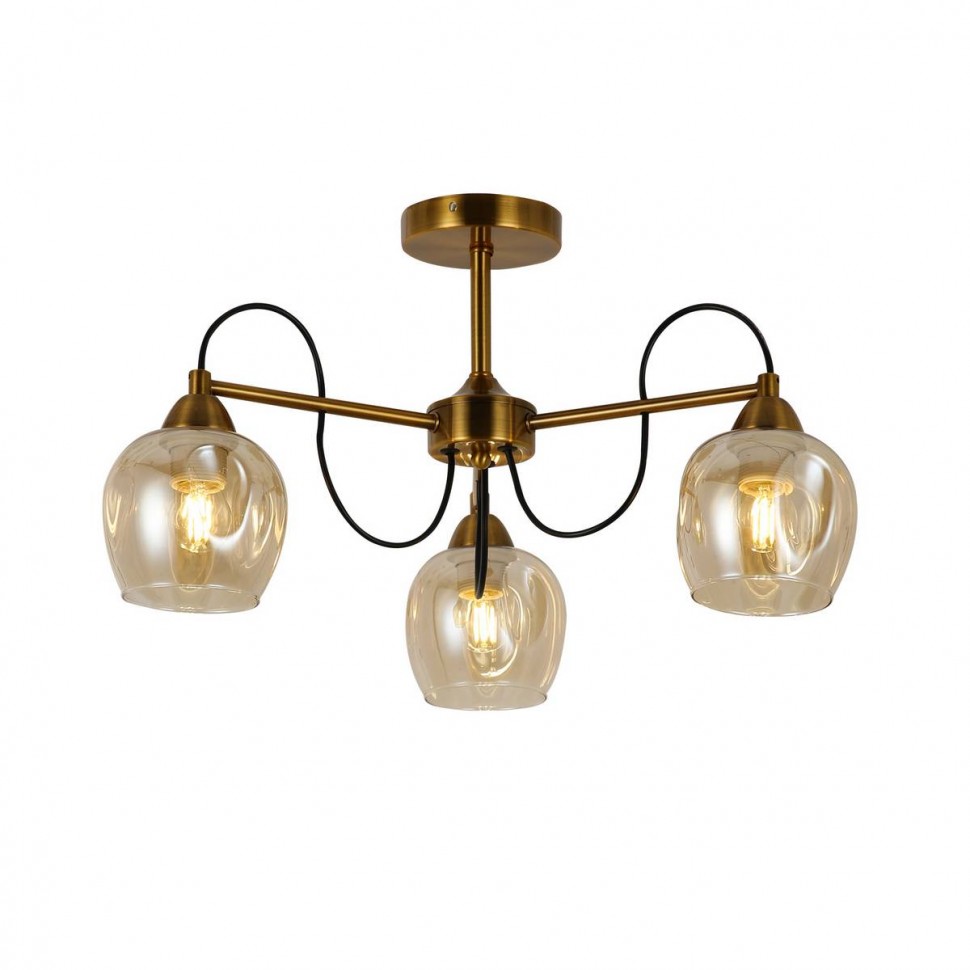 Потолочная люстра Evoluce Acro SLE110002-03 фото 1 &mdash; svetrussia.ru