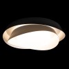 Потолочный светильник Loft IT Petale 10256 Black фото 6 &mdash; svetrussia.ru