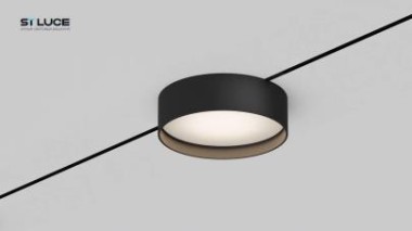 Трековый светильник ST Luce ST670.446.12 &mdash; svetrussia.ru